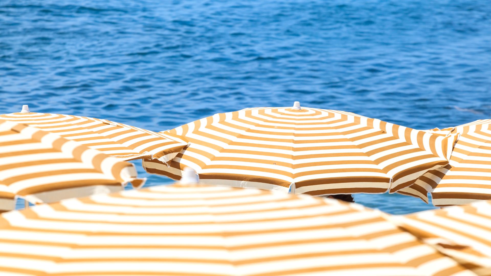 servizi-spiaggia privata 2